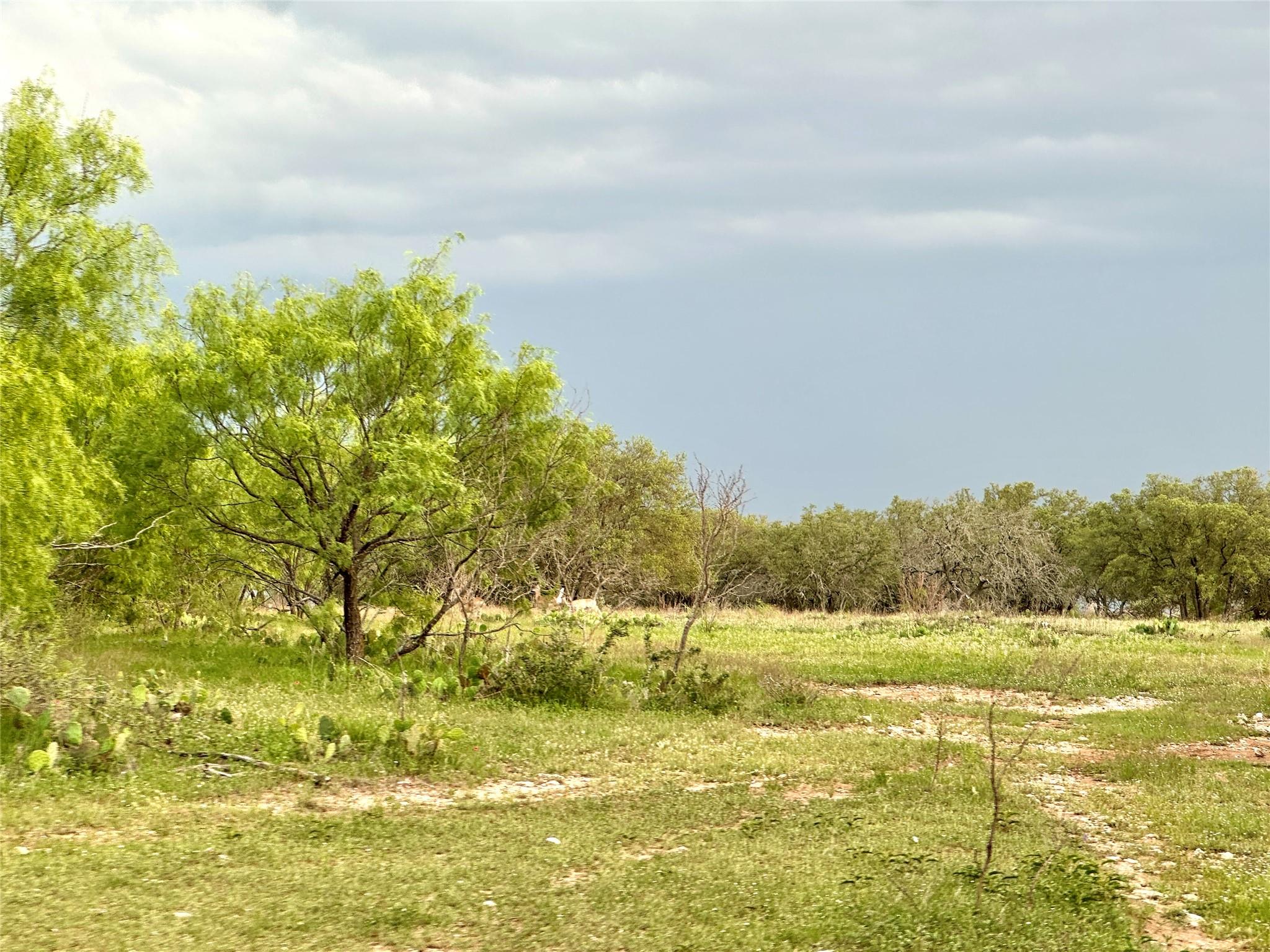 Tbd Fm 3023 None Property Photo 24