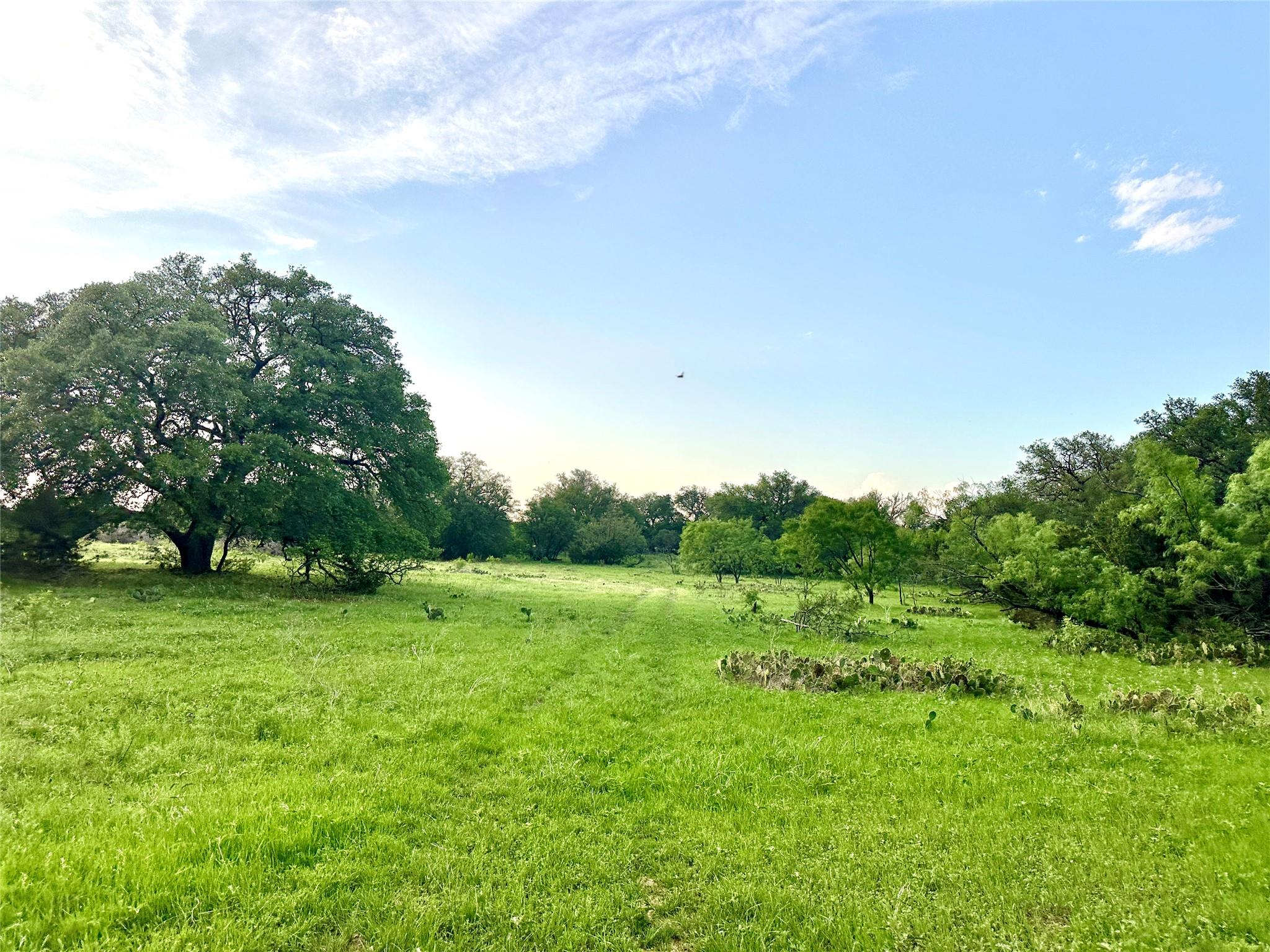 Tbd Fm 3023 None Property Photo 28