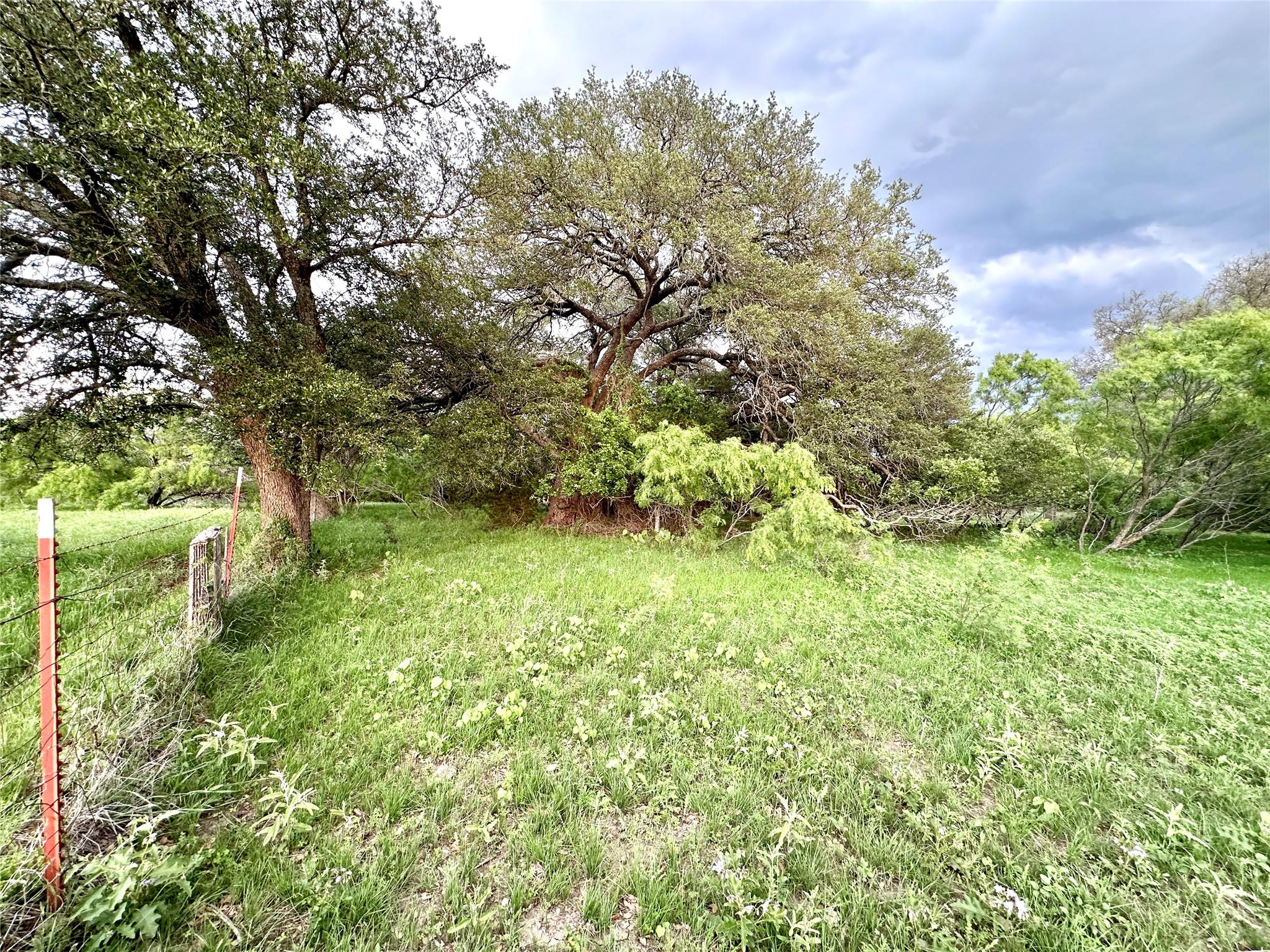 Tbd Fm 3023 None Property Photo 31