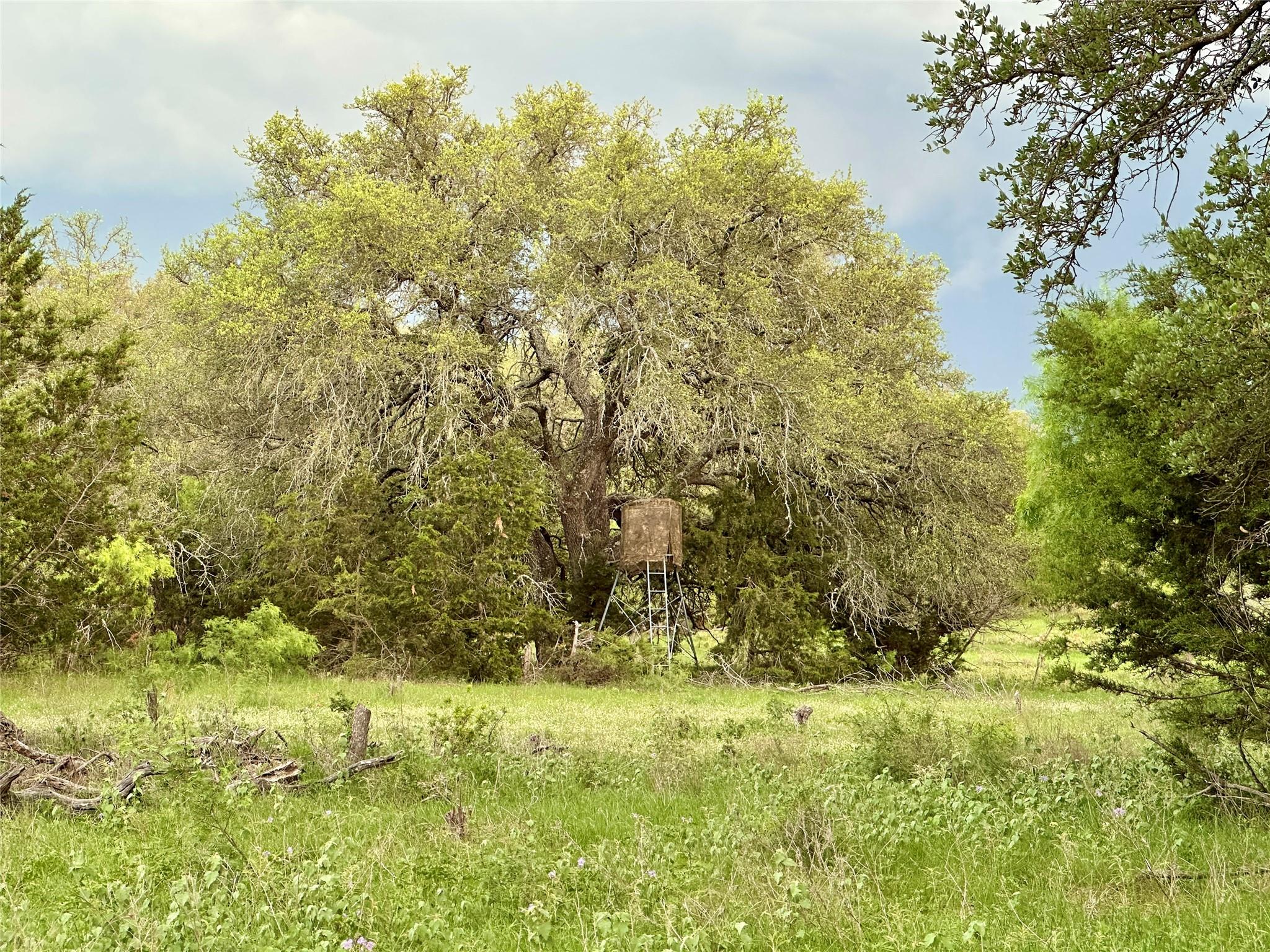 Tbd Fm 3023 None Property Photo 32
