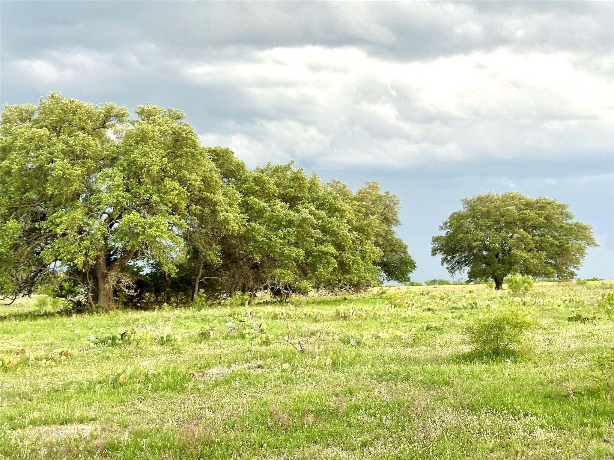 Tbd Fm 3023 None Property Photo 33