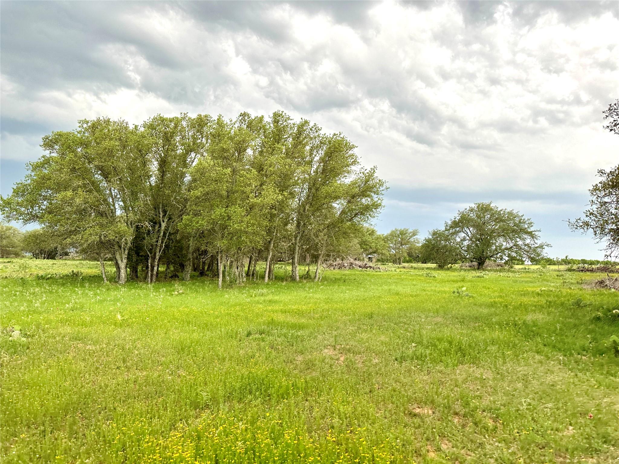 Tbd Fm 3023 None Property Photo 37