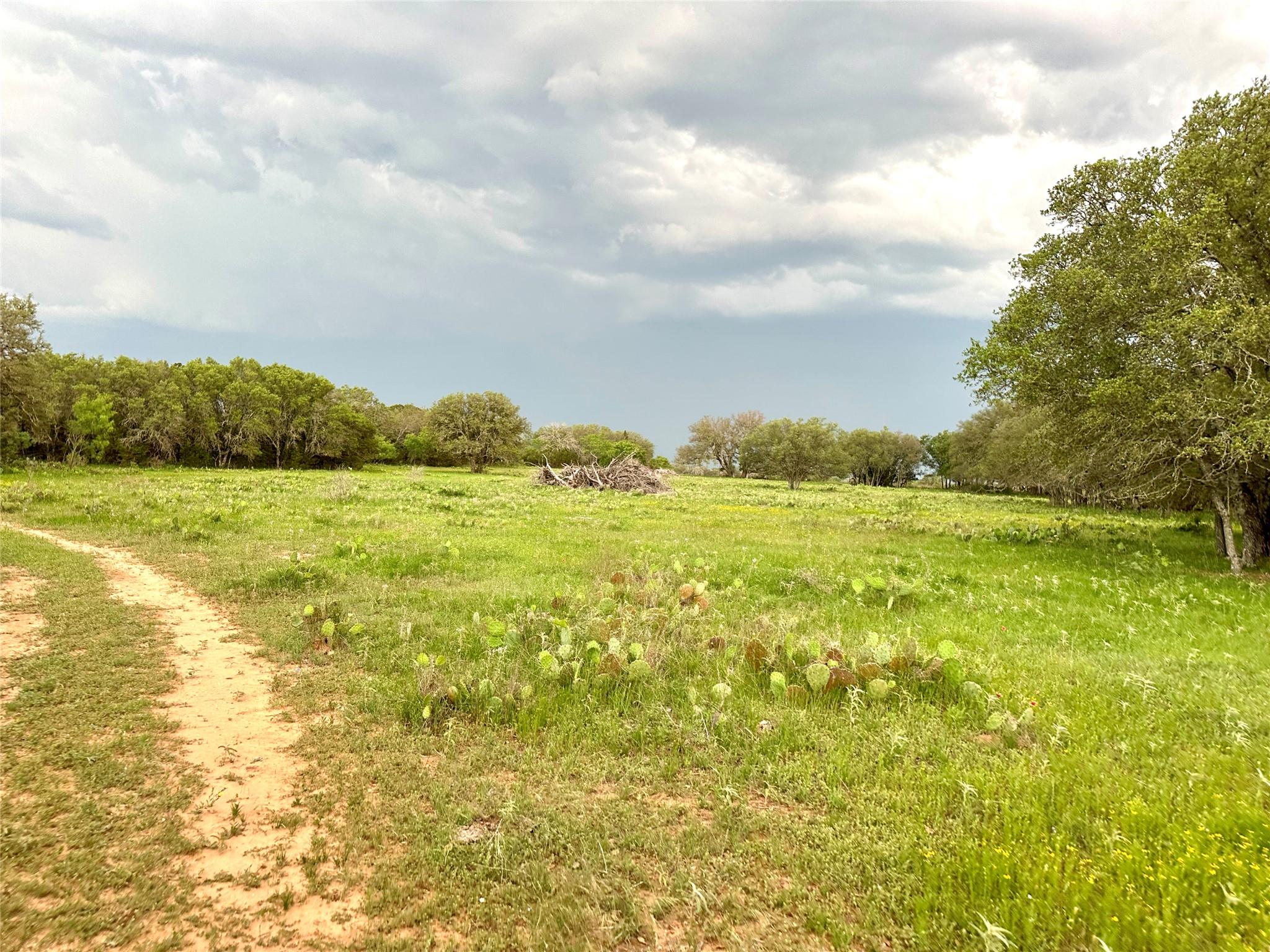 Tbd Fm 3023 None Property Photo 38