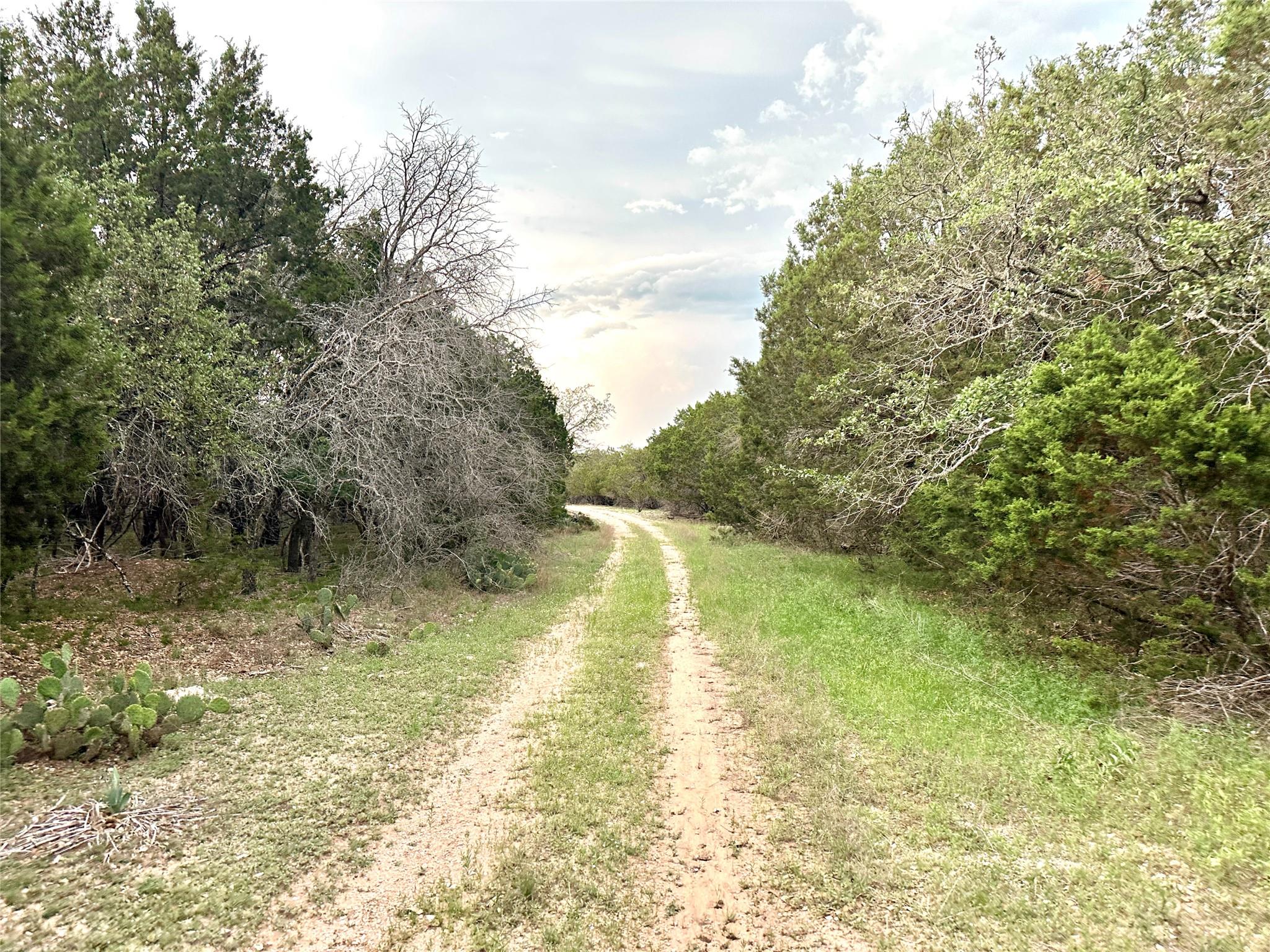 Tbd Fm 3023 None Property Photo 40