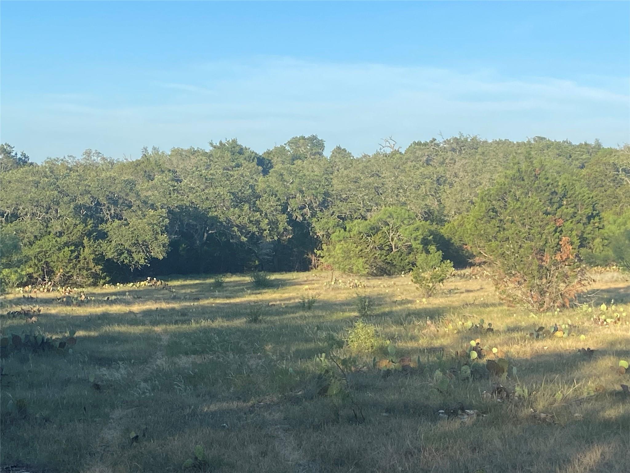 331 Turkey Trl Rocky Hollow Lot 93 Property Photo 2