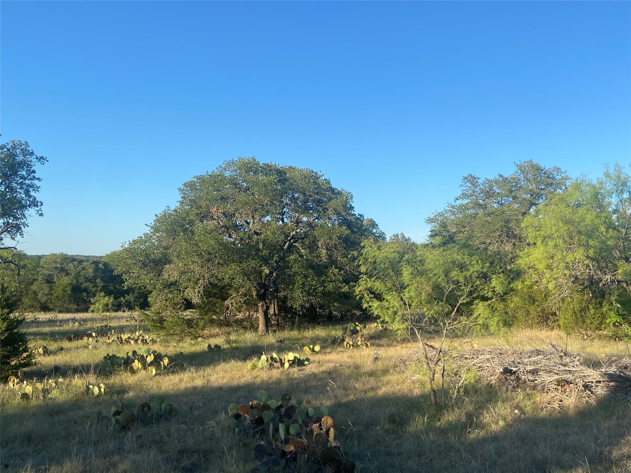 331 Turkey Trl Rocky Hollow Lot 93 Property Photo 7