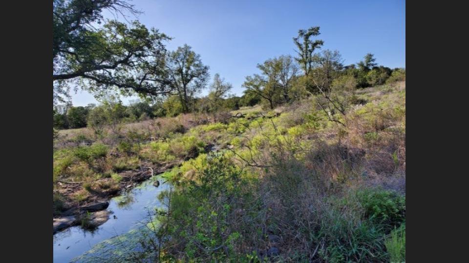 105 Lazy Oak Pl Property Photo 3