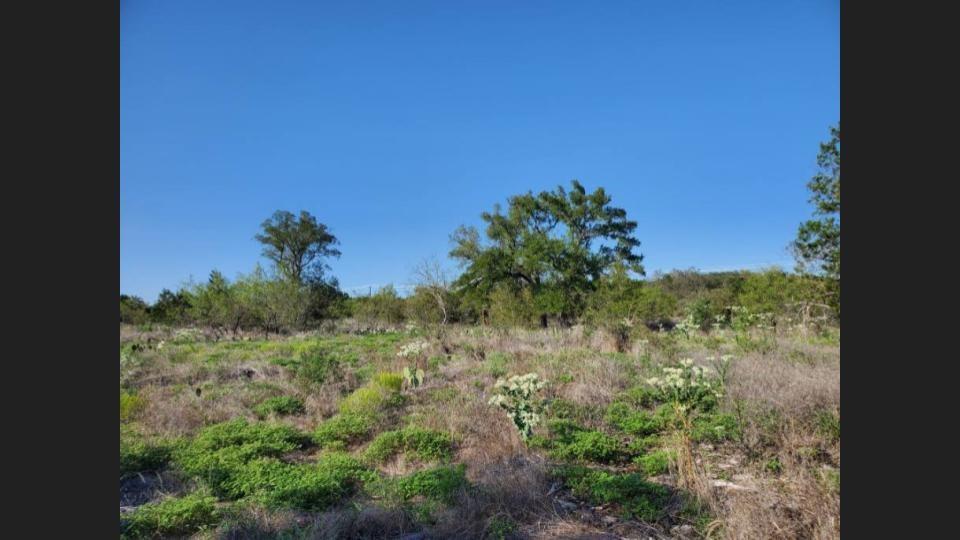 105 Lazy Oak Pl Property Photo 4