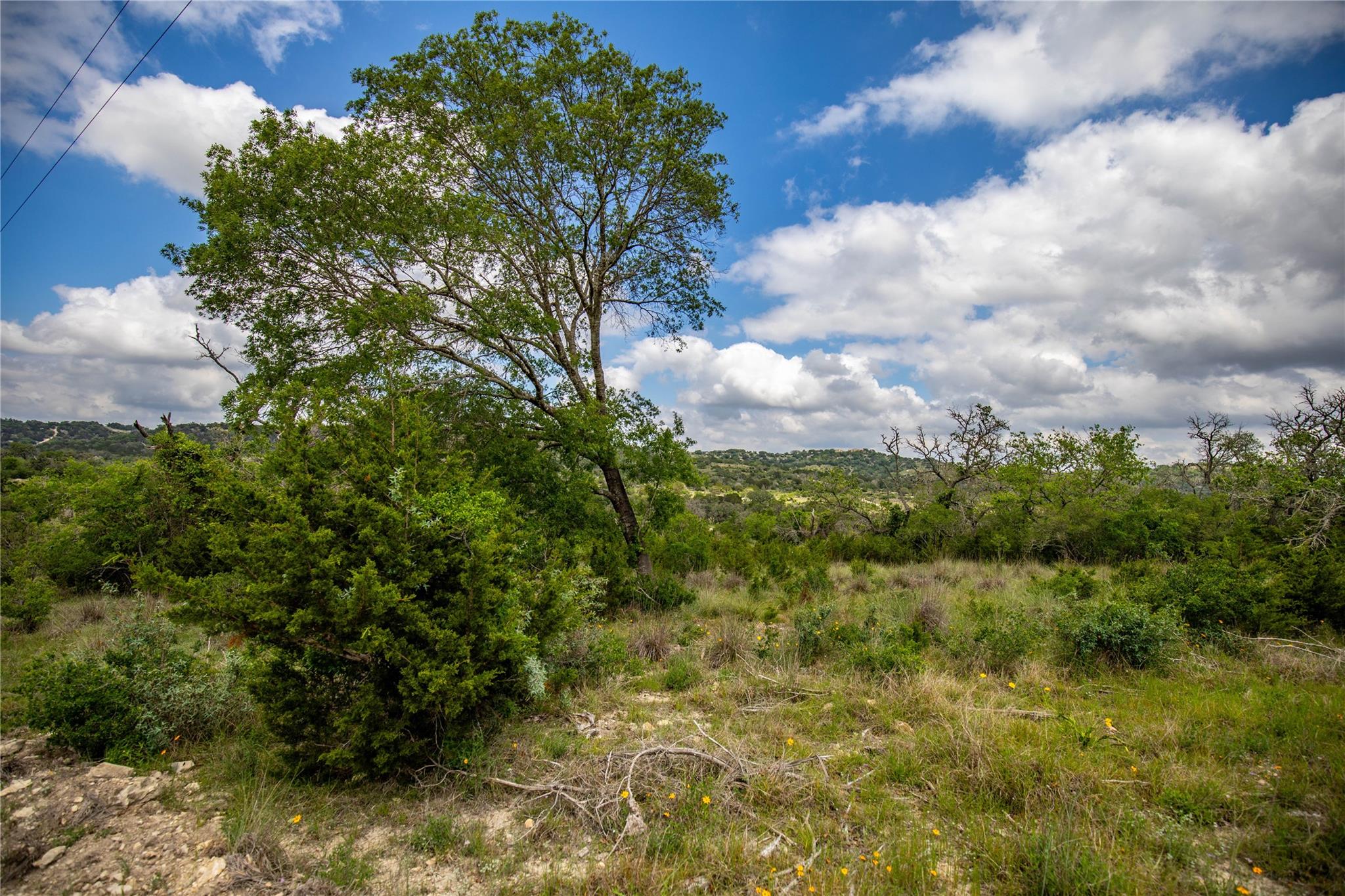 275 Hasenwinkel Rd Lot 3 Property Photo 12