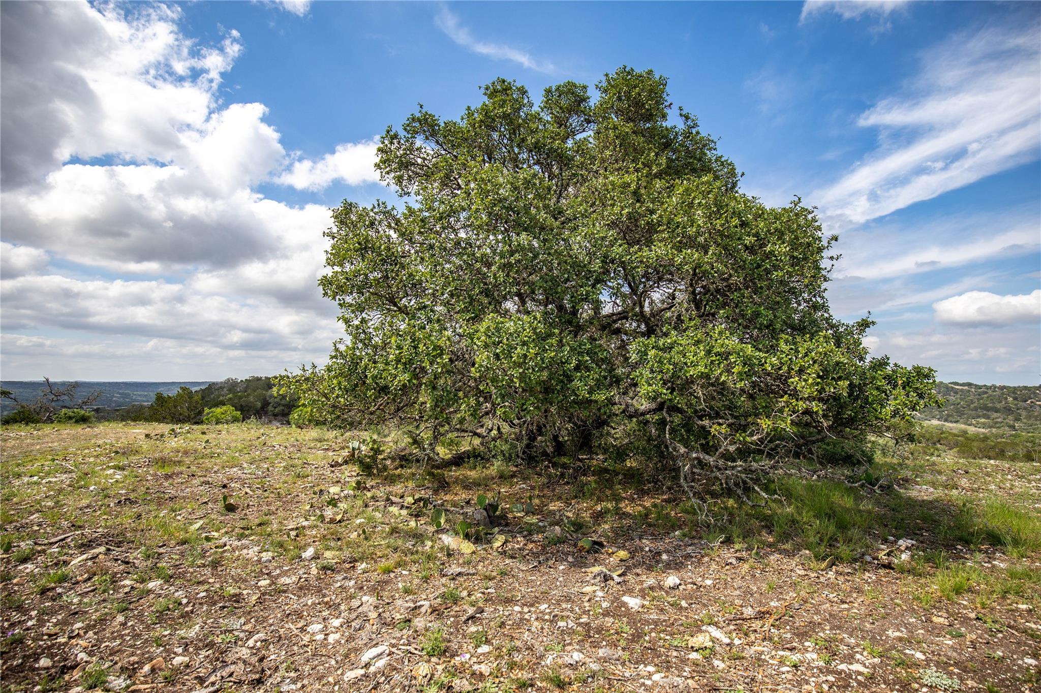 275 Hasenwinkel Rd Lot 3 Property Photo 20