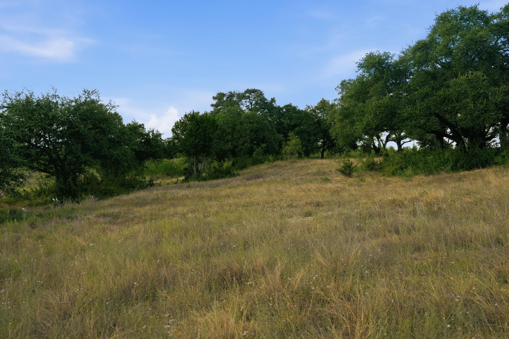 Tbd Lot 59 San Gabriel Cv Property Photo 24