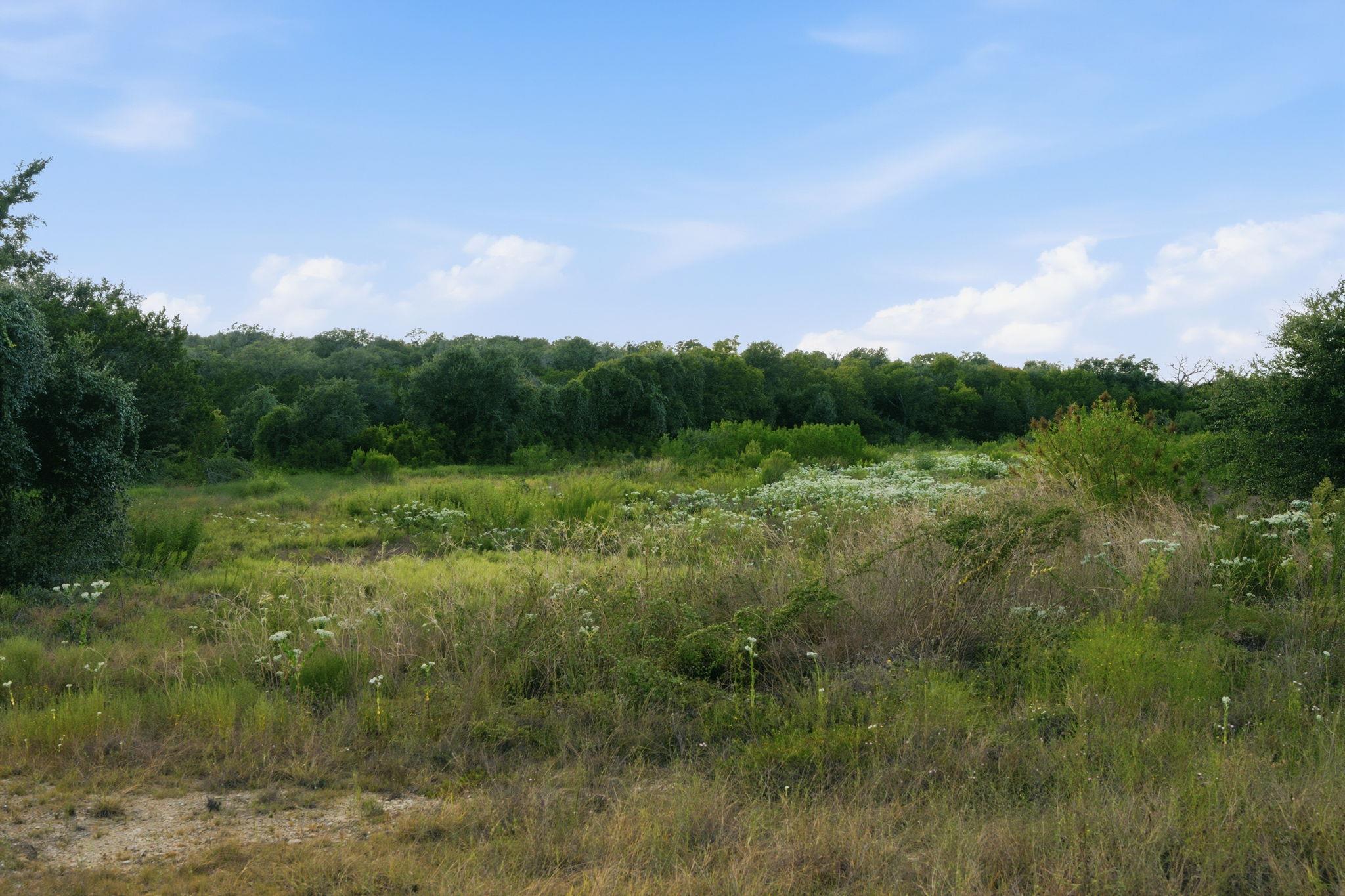 Tbd Lot 59 San Gabriel Cv Property Photo 25