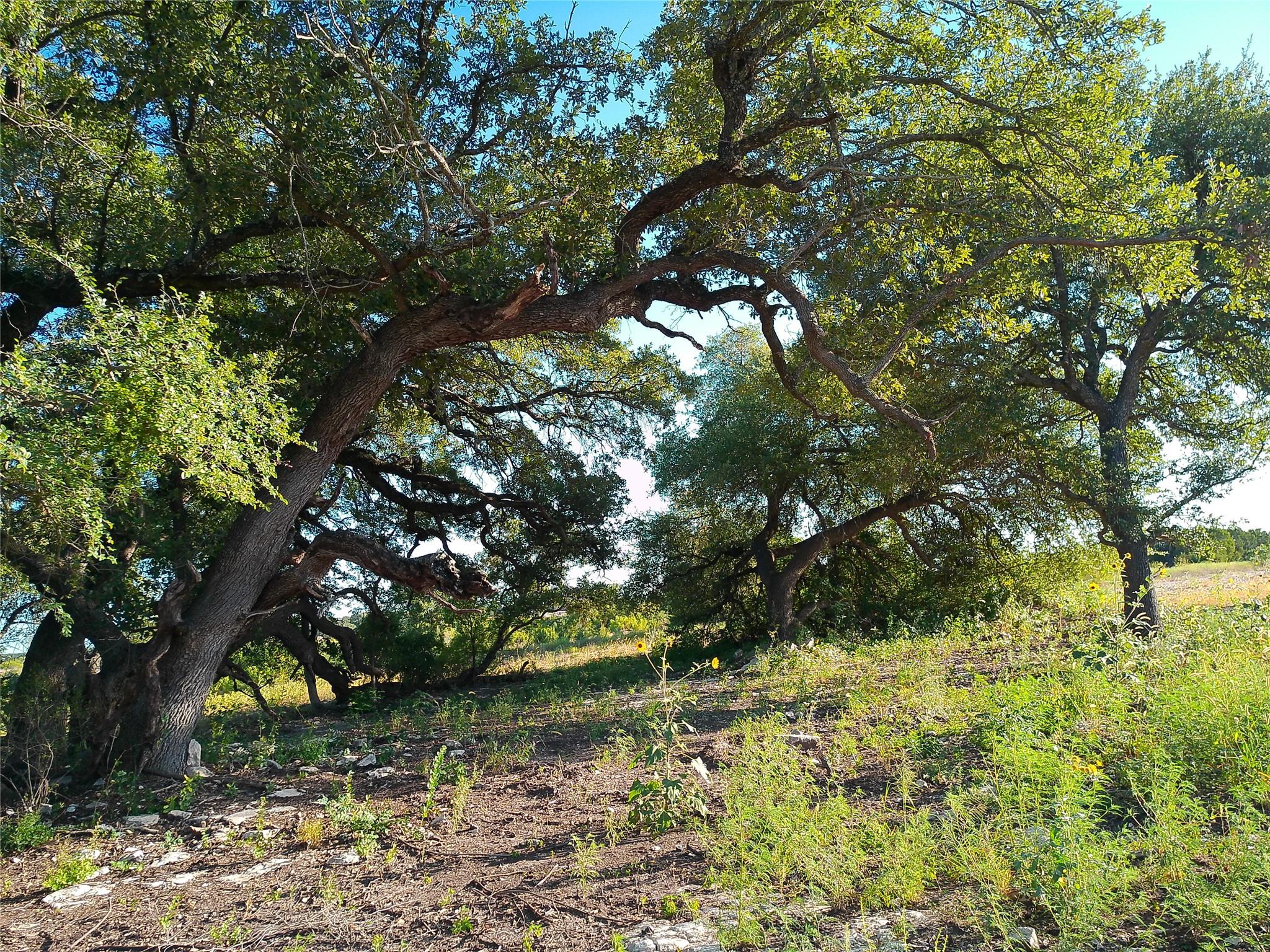 Lot 42 Serenity Dr Property Photo 1