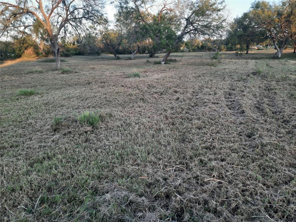 118 Valerie Ln Property Photo 3