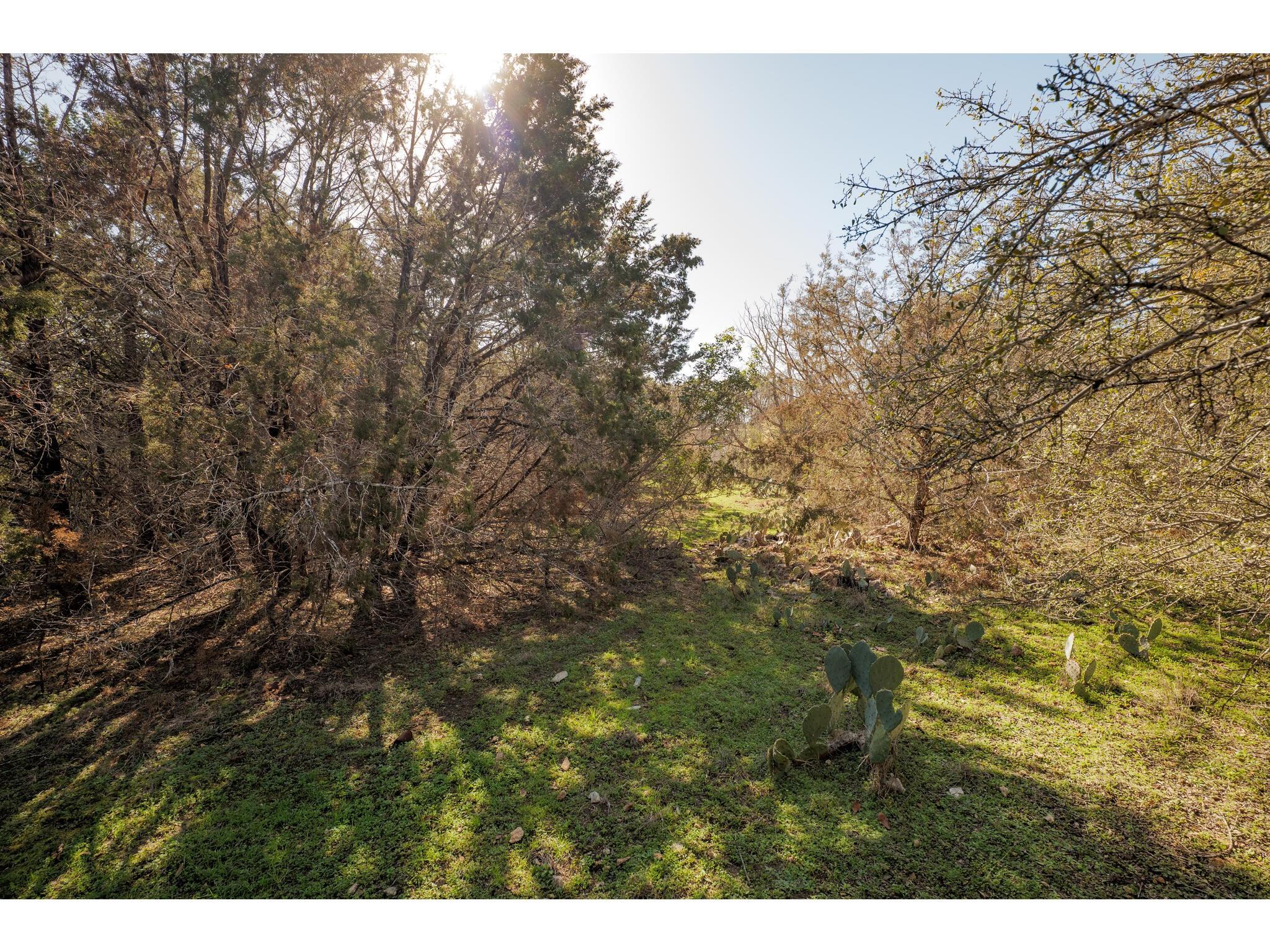3504 Rainbow Hollow Dr Property Photo 12