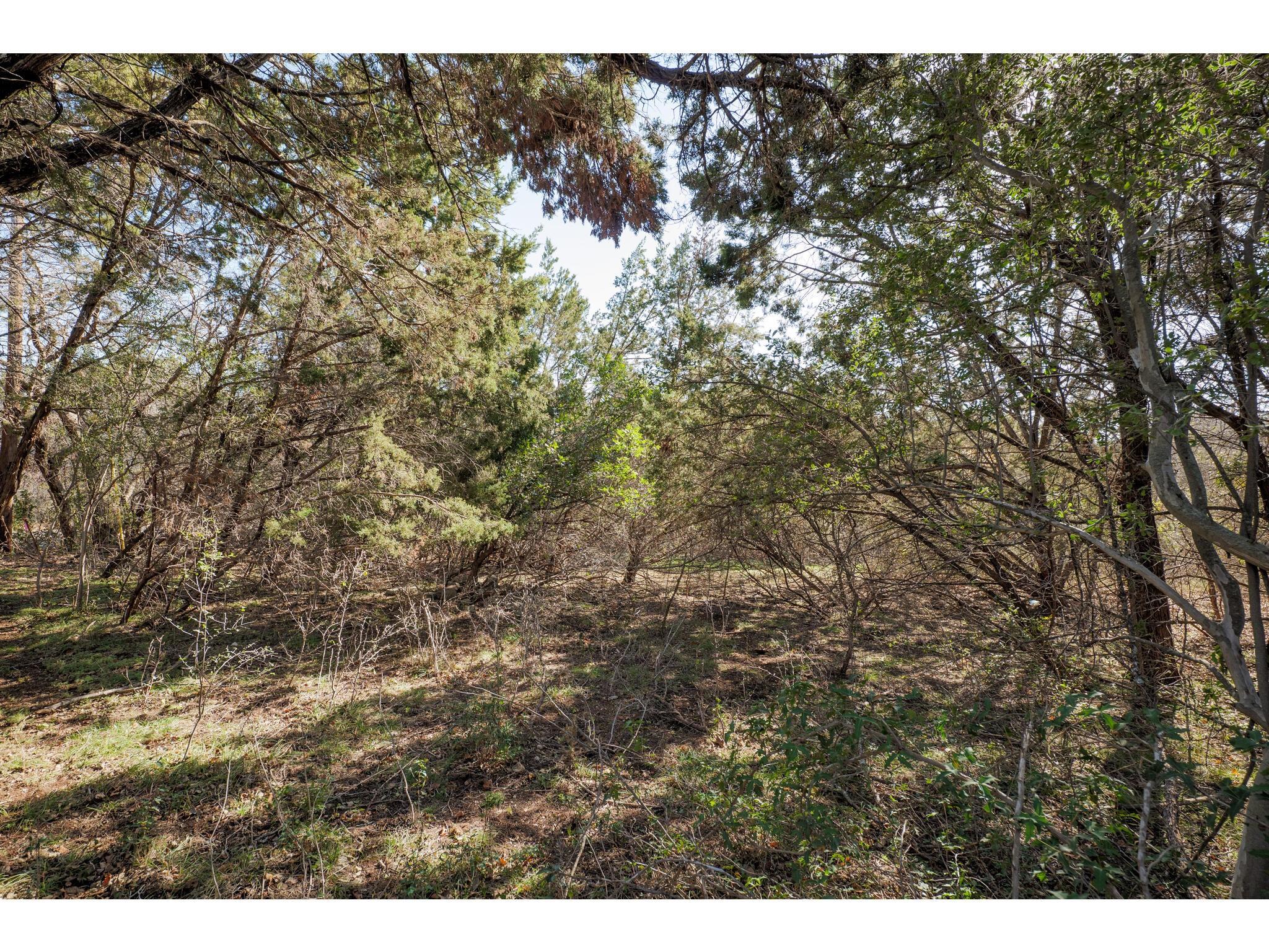 3504 Rainbow Hollow Dr Property Photo 14