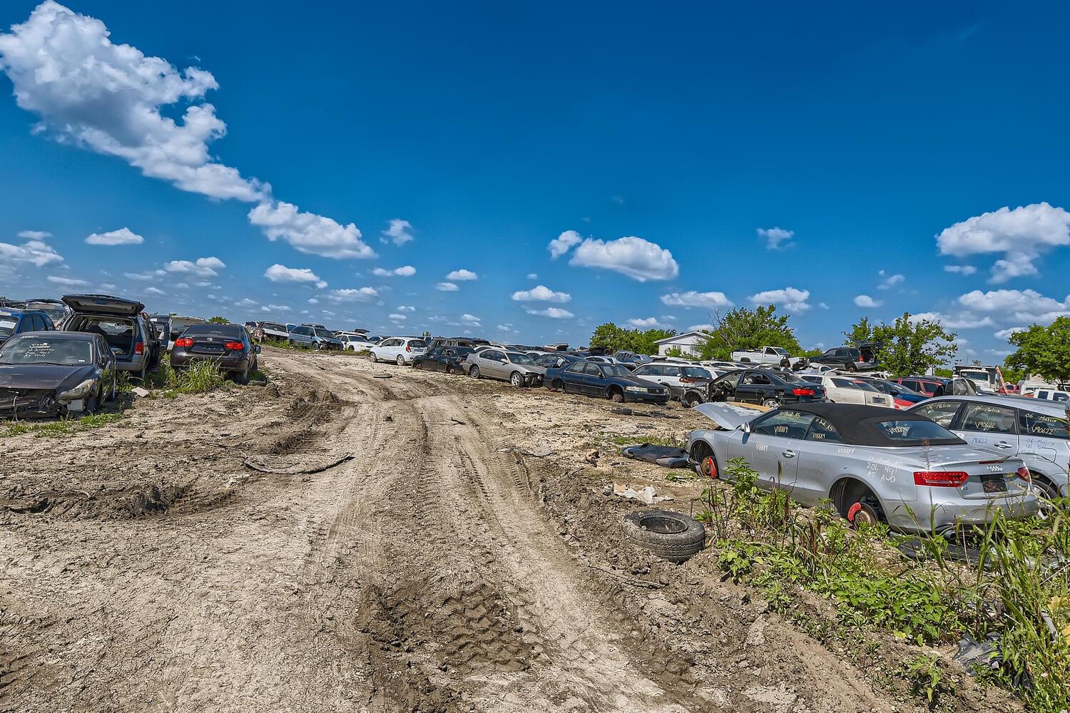 10209 Fm 812 None Property Photo 5