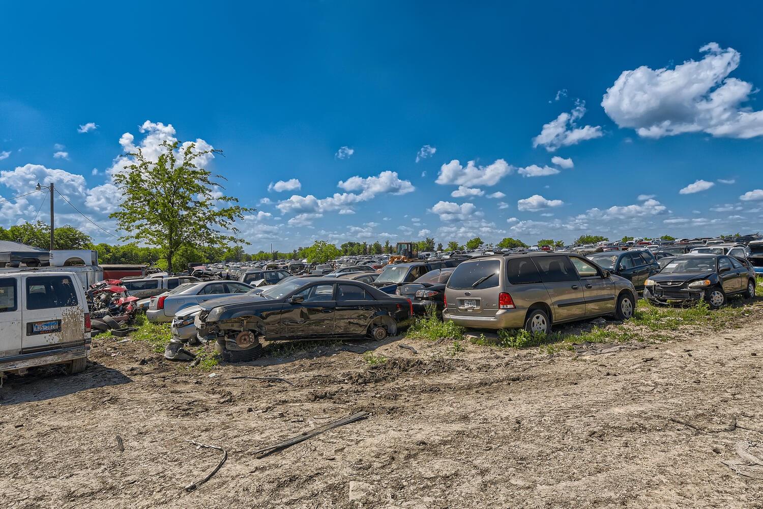 10209 Fm 812 None Property Photo 6