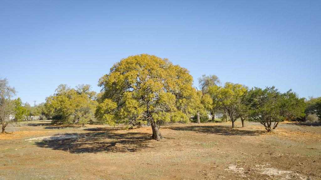 268 Kinnikinik Lot 11 Loop Property Photo 23