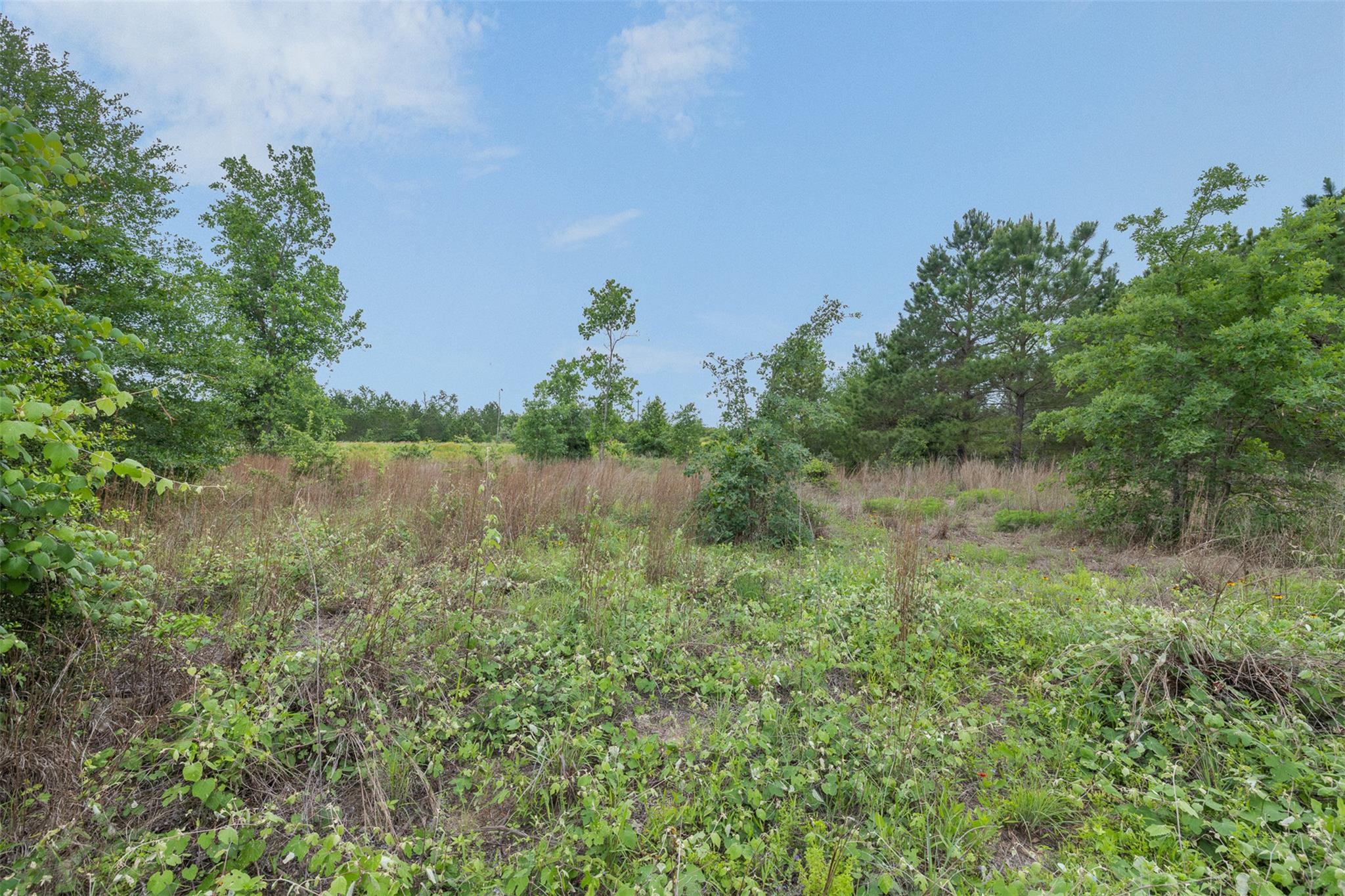 Tbd Lot 20c County Rd Property Photo 1