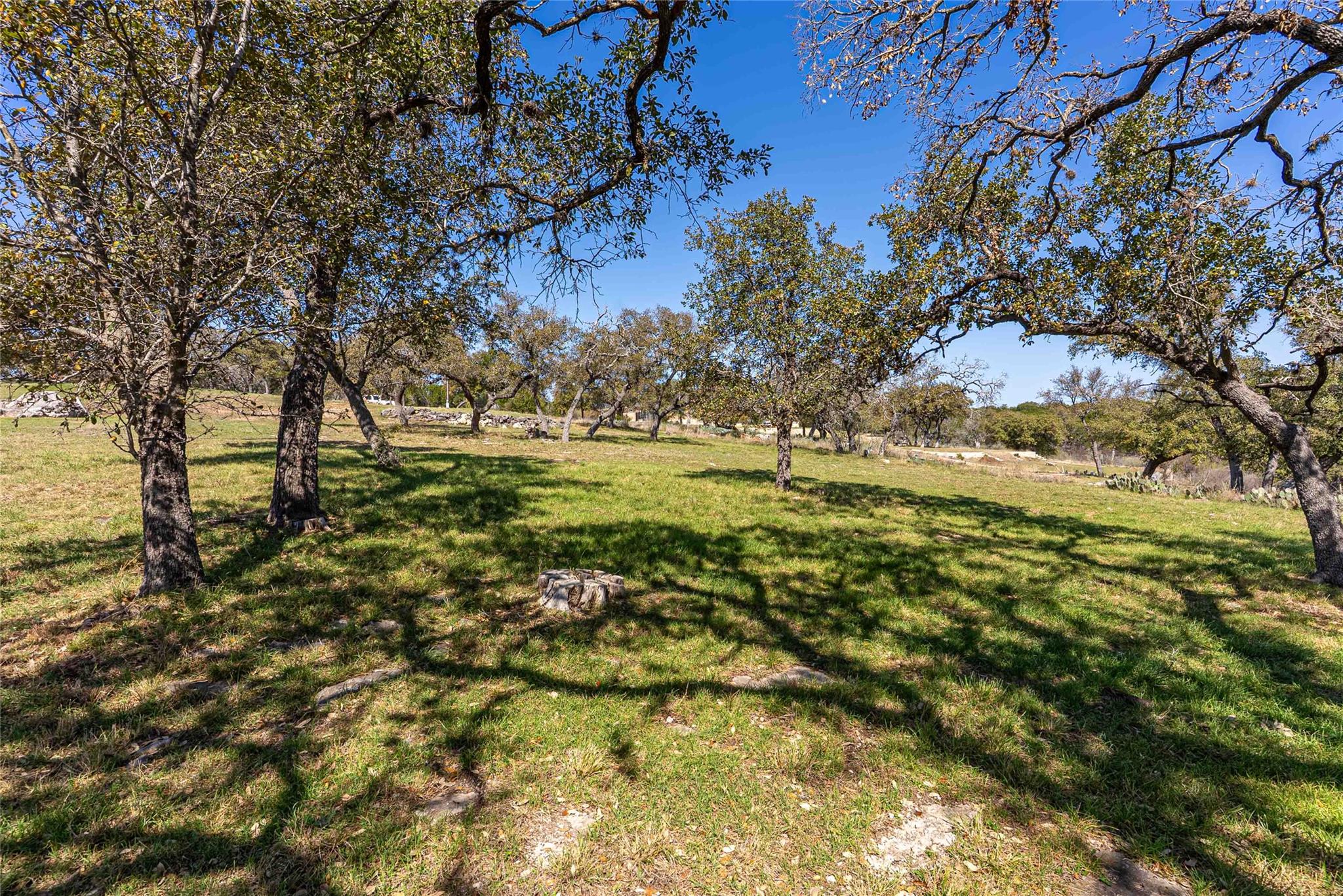 3209 Brasada Ln Property Photo 23