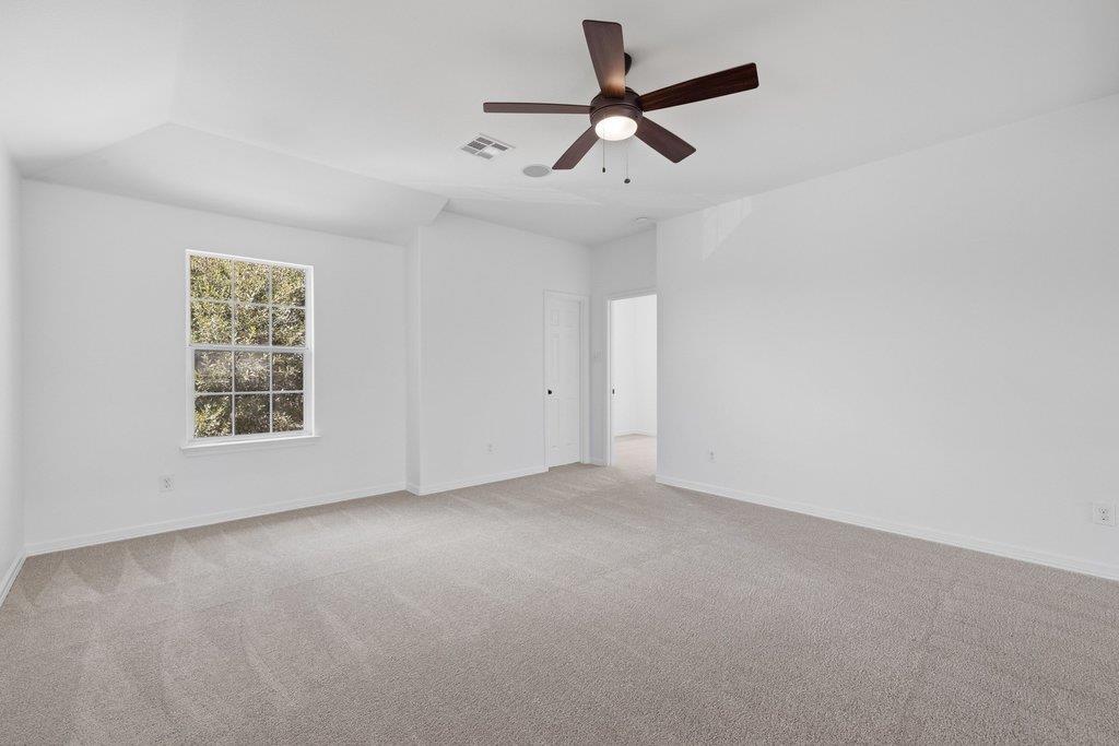 245 Razzmatazz Trl Property Photo 29