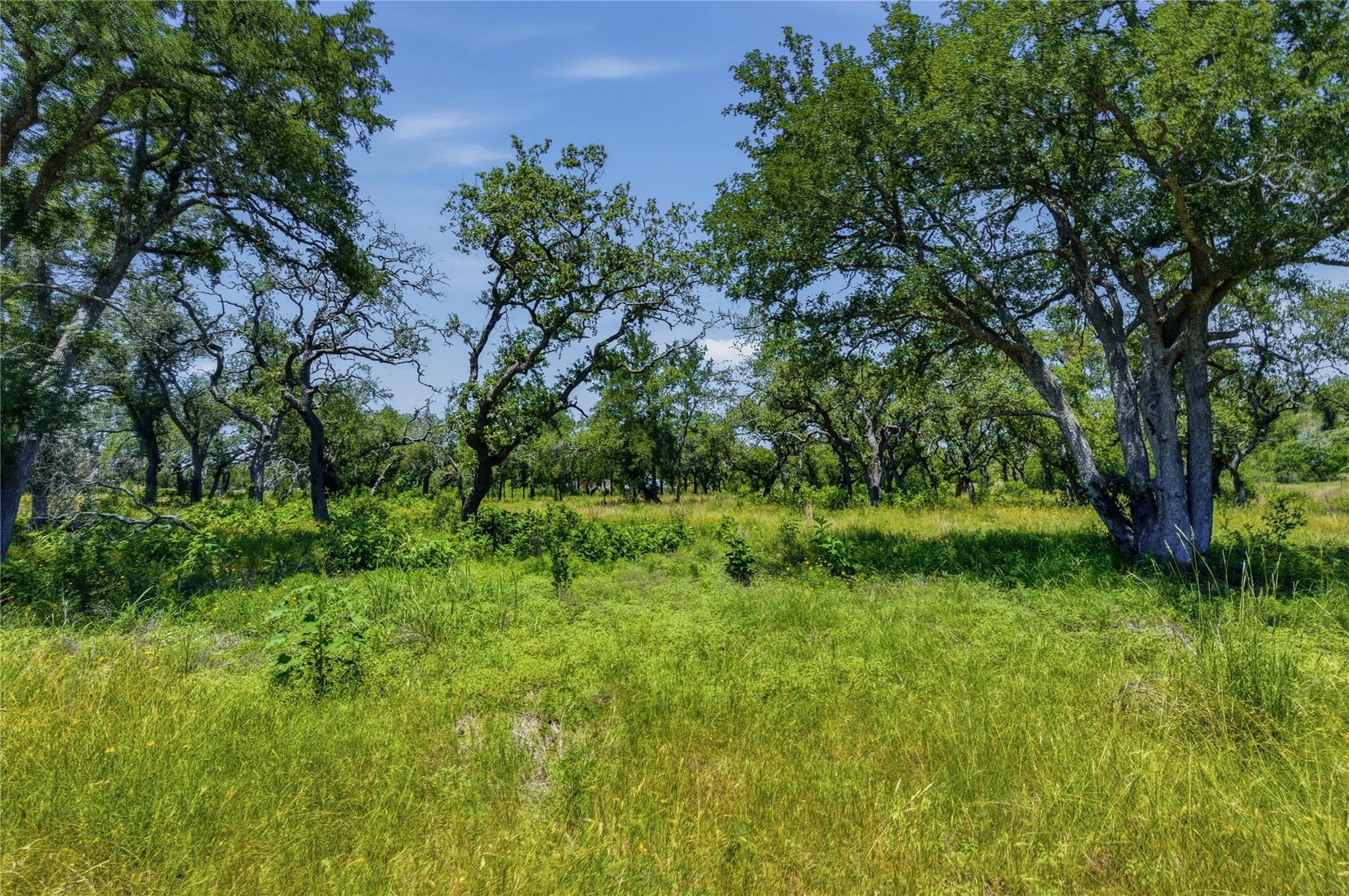 623 Whiskey Trl Property Photo 3