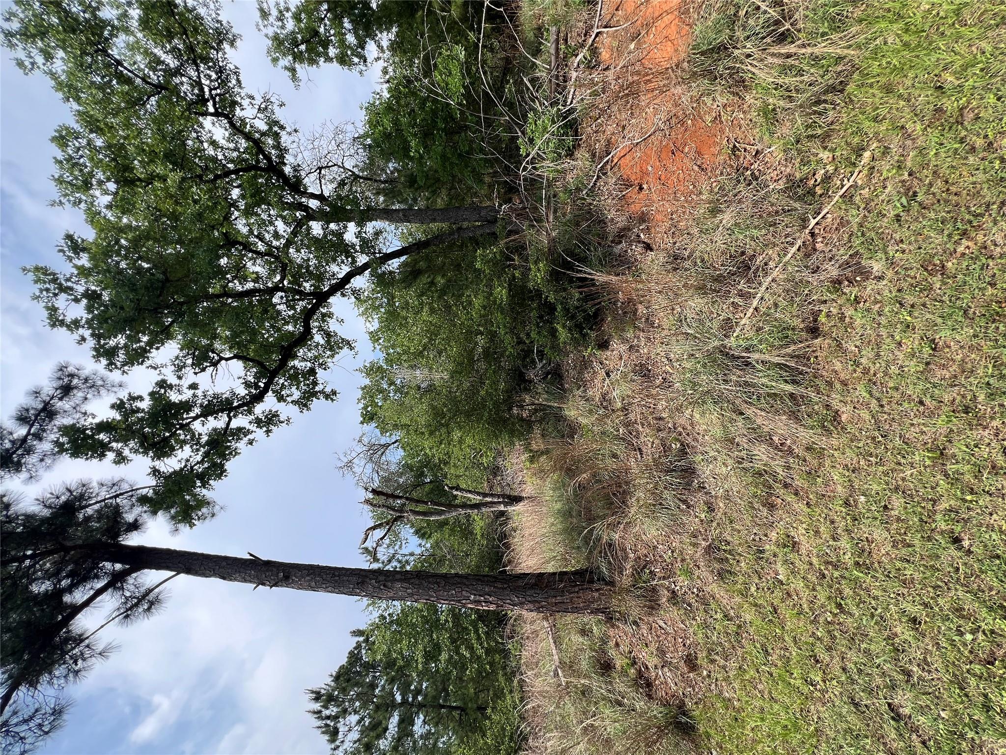 Lot 30507 Tbd Moku Ct Property Photo