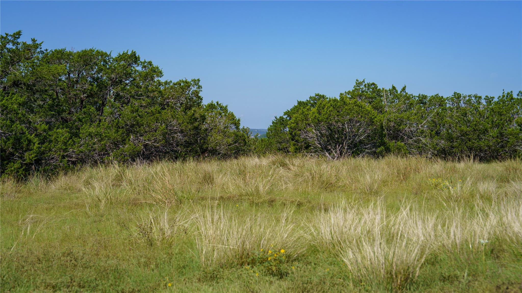 150 Branched Out Trail None Property Photo 3
