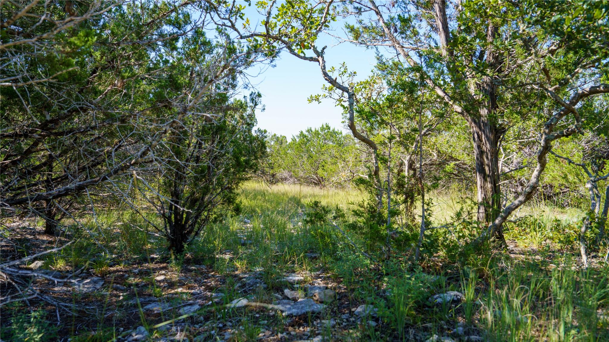 150 Branched Out Trail None Property Photo 4