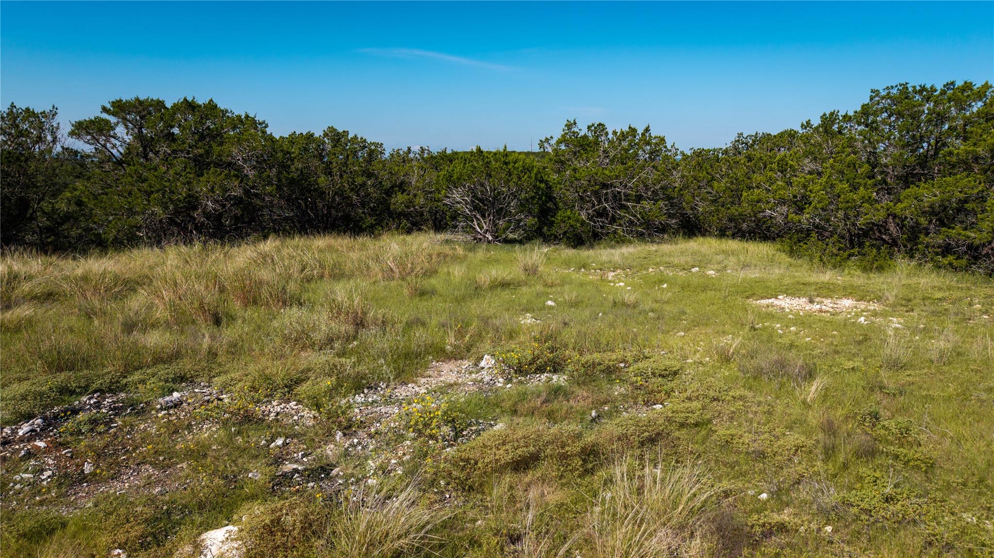 150 Branched Out Trail None Property Photo 5