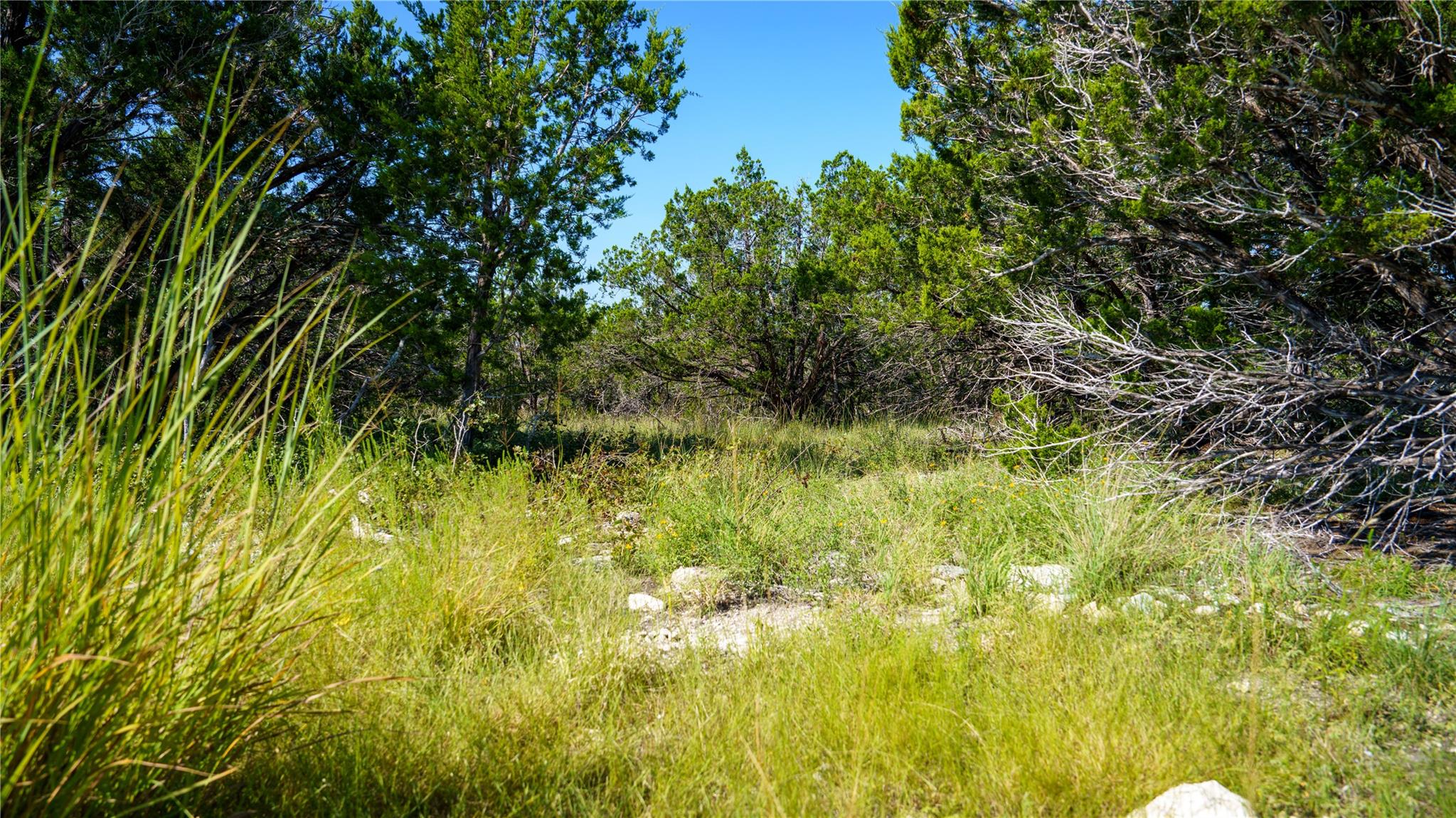 150 Branched Out Trail None Property Photo 6