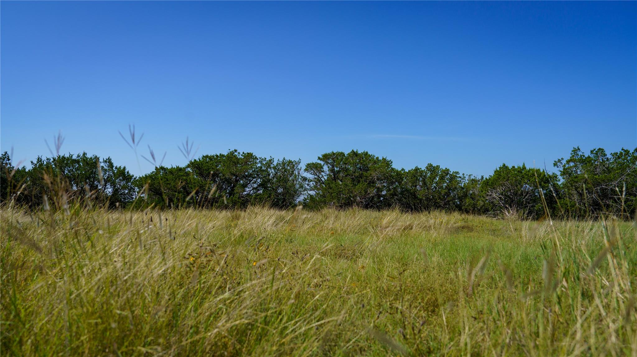 150 Branched Out Trail None Property Photo 8