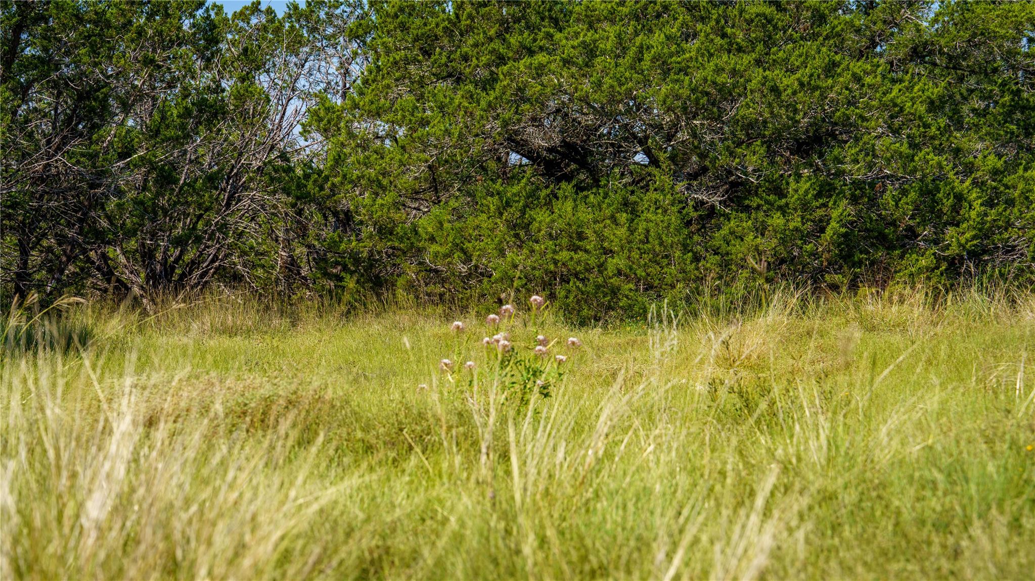 150 Branched Out Trail None Property Photo 9
