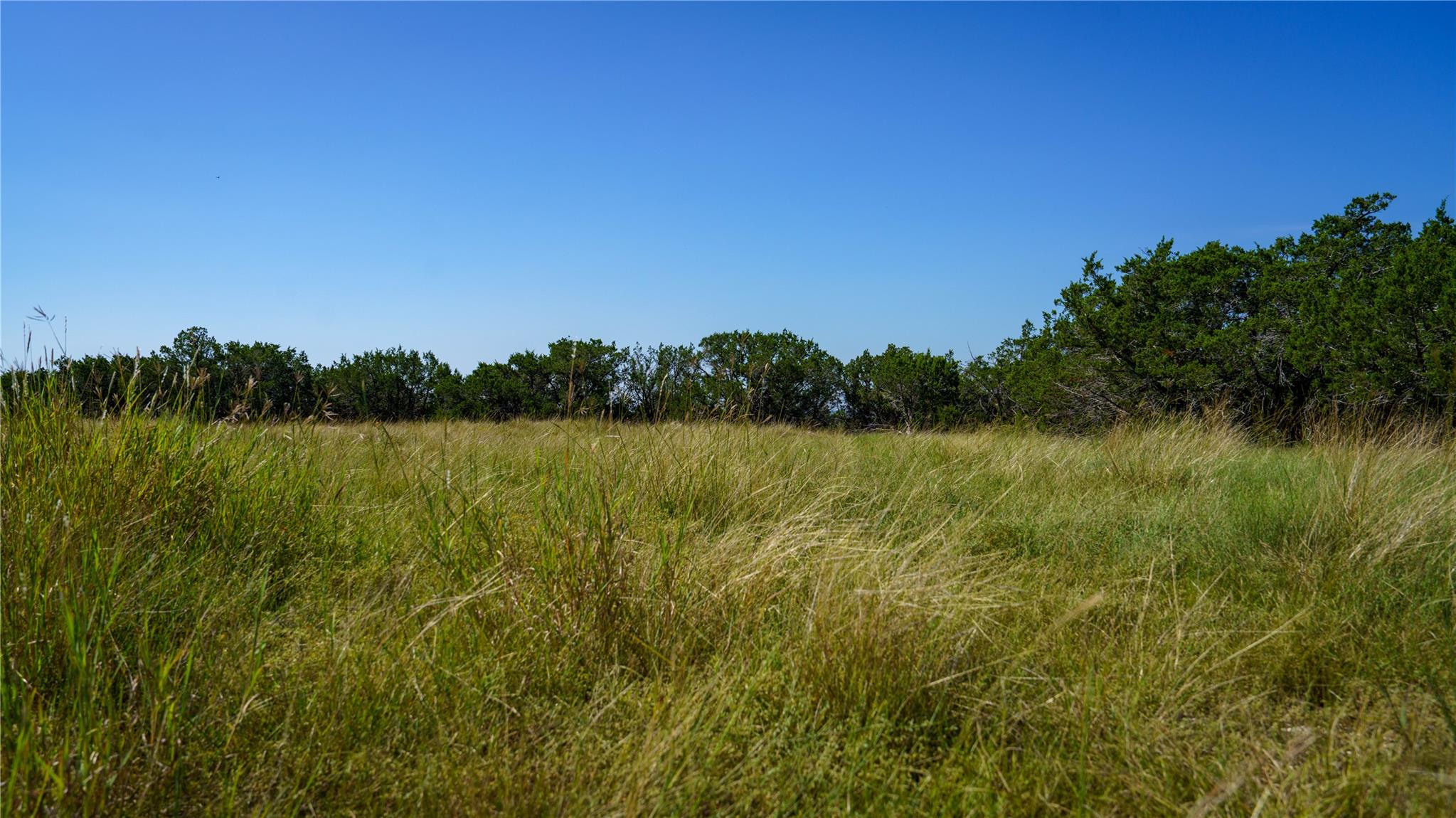 150 Branched Out Trail None Property Photo 11