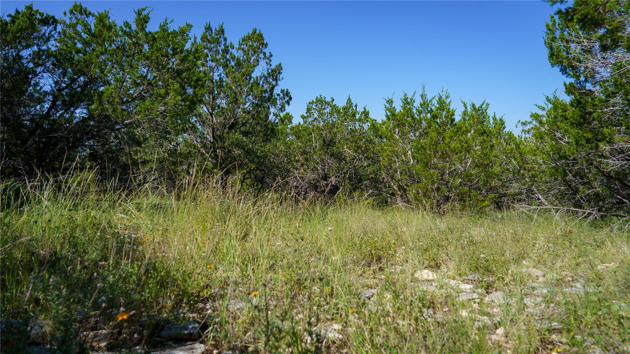 150 Branched Out Trail None Property Photo 12