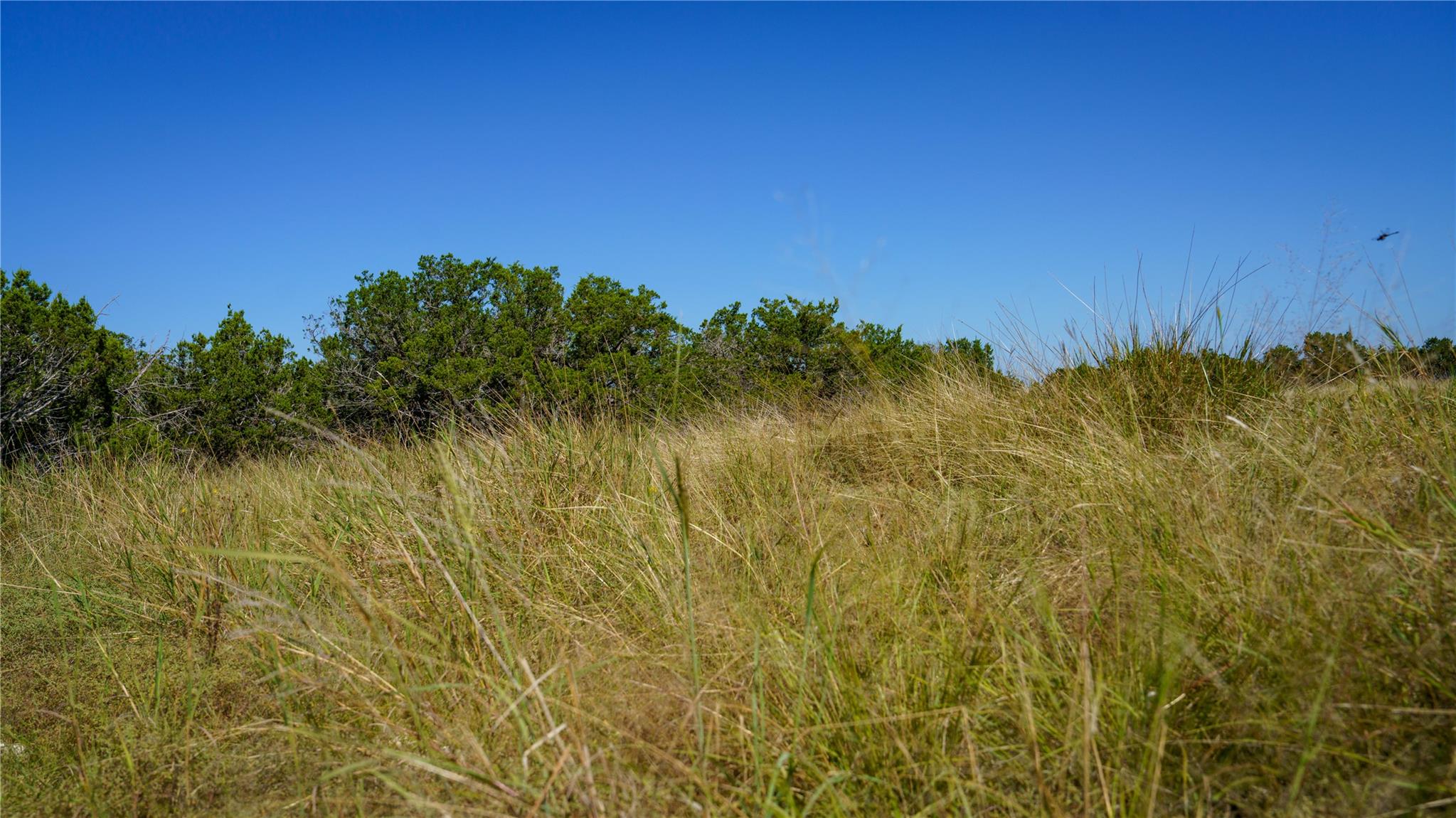 150 Branched Out Trail None Property Photo 14