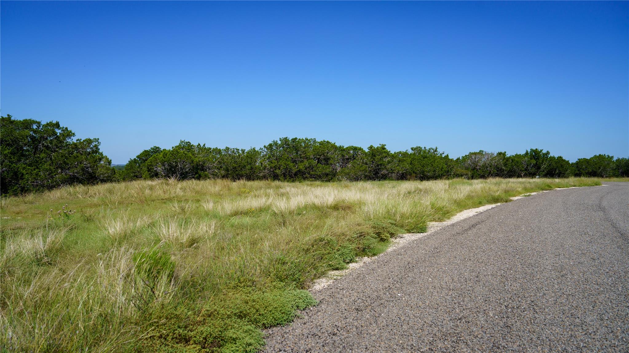150 Branched Out Trail None Property Photo 15