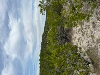 8702 Tepee Cv Property Photo 3