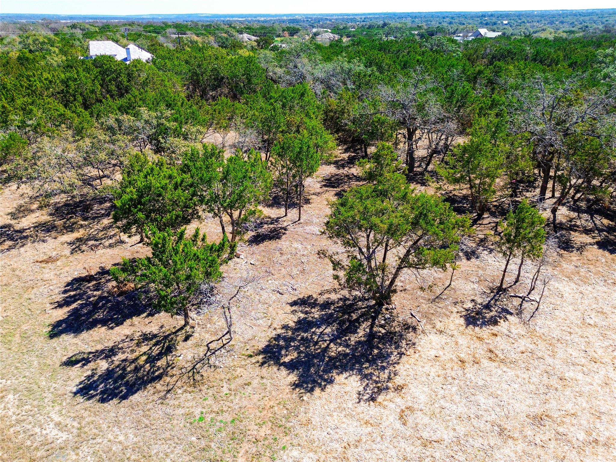 120 Blessing Ranch Rd Property Photo 4