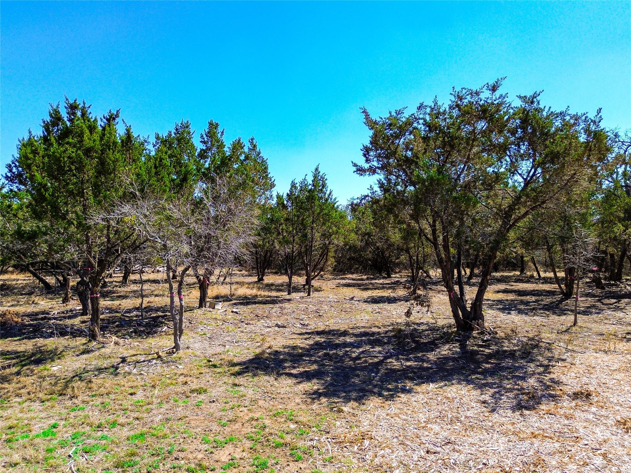 120 Blessing Ranch Rd Property Photo 7