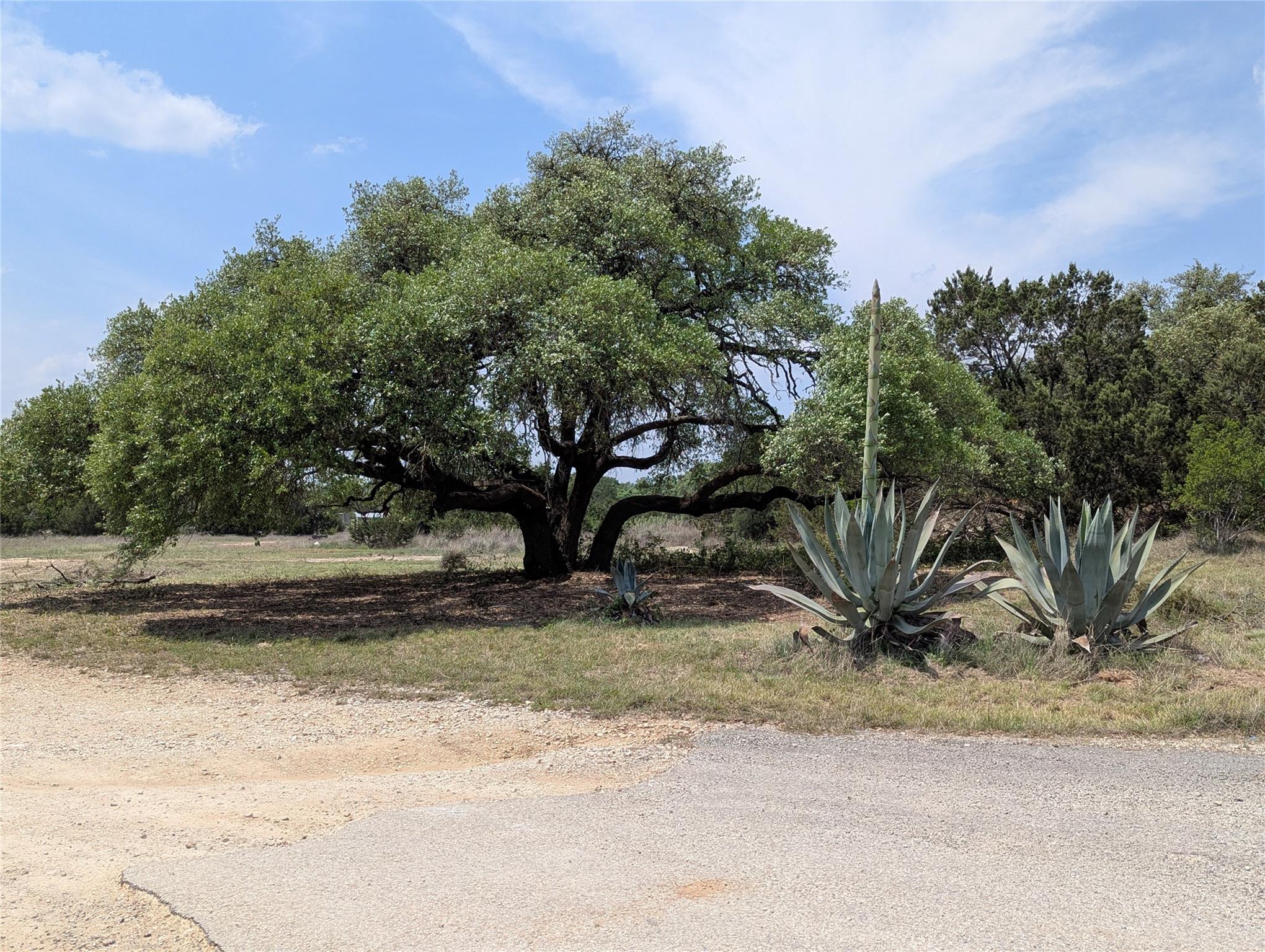 301 Rim Rock Ranch Rd Property Photo 1