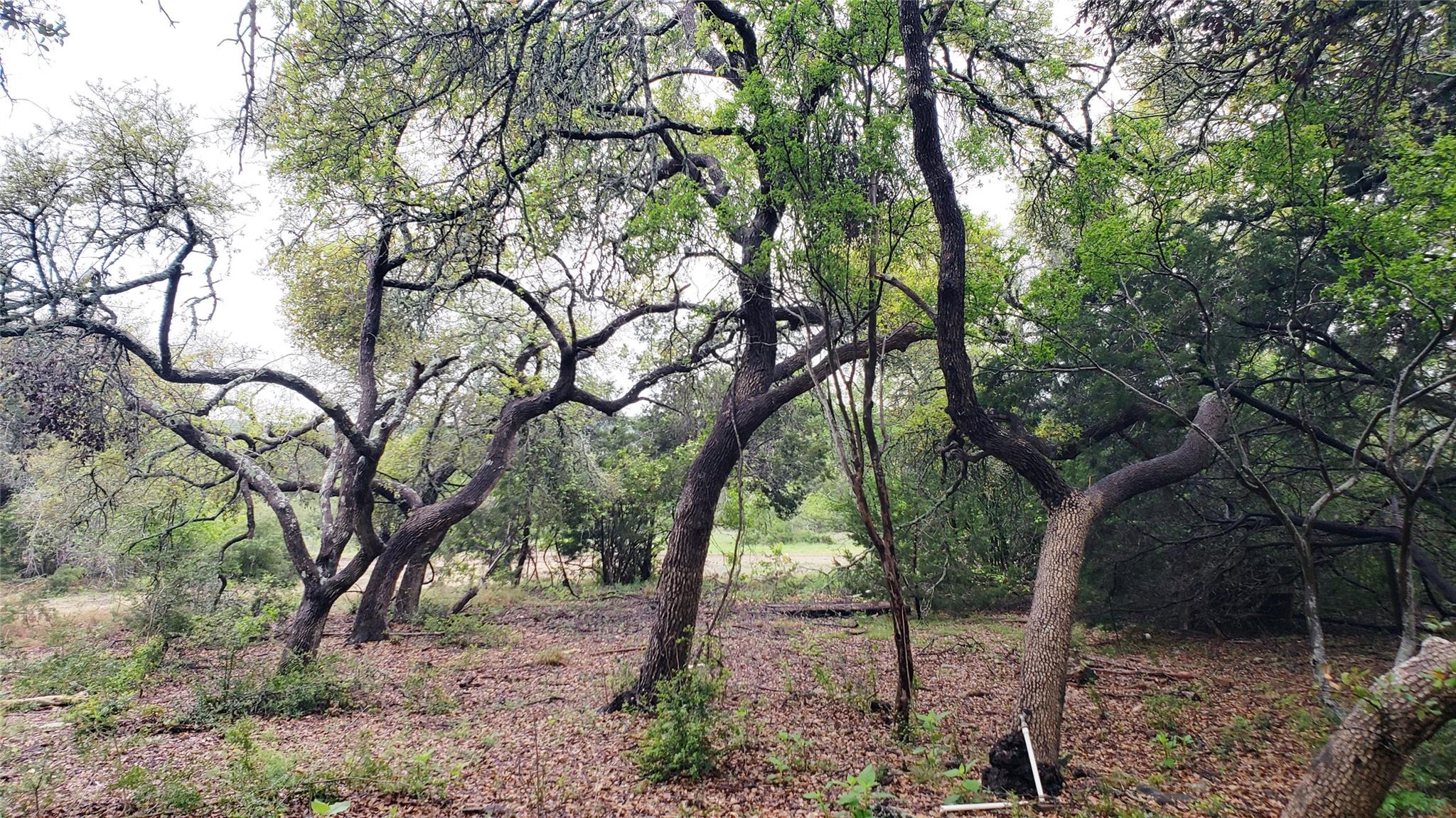 301 Rim Rock Ranch Rd Property Photo 2