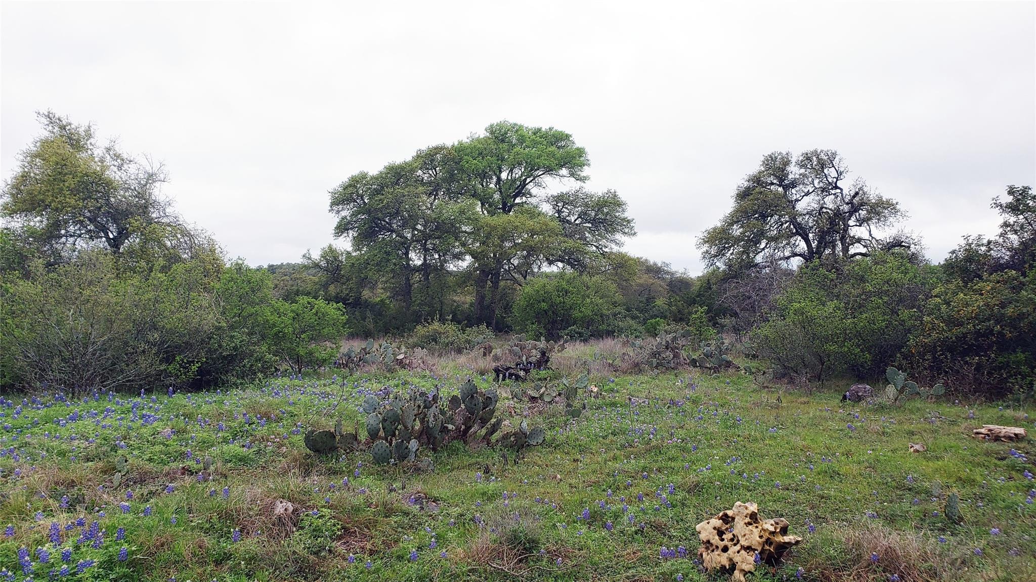 301 Rim Rock Ranch Rd Property Photo 3