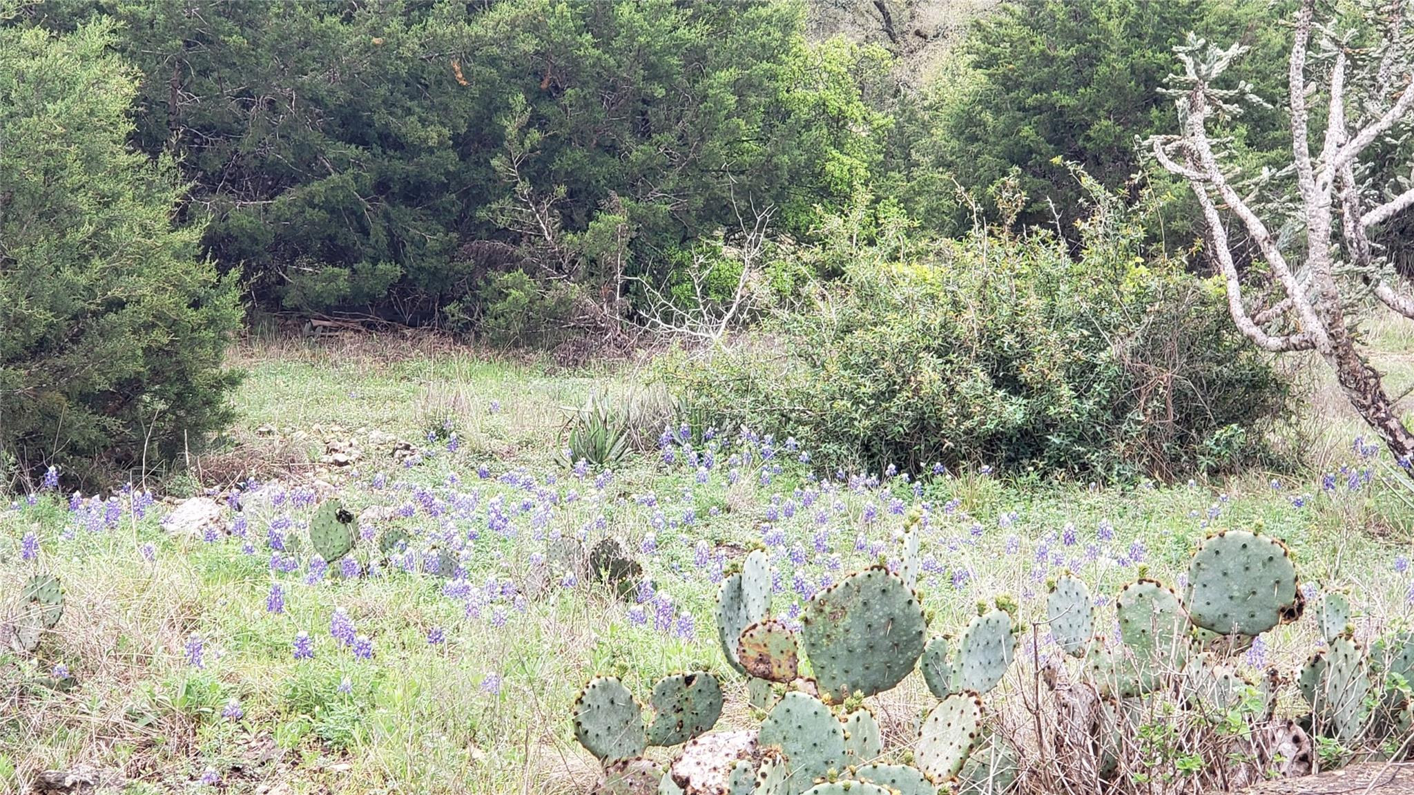 301 Rim Rock Ranch Rd Property Photo 4