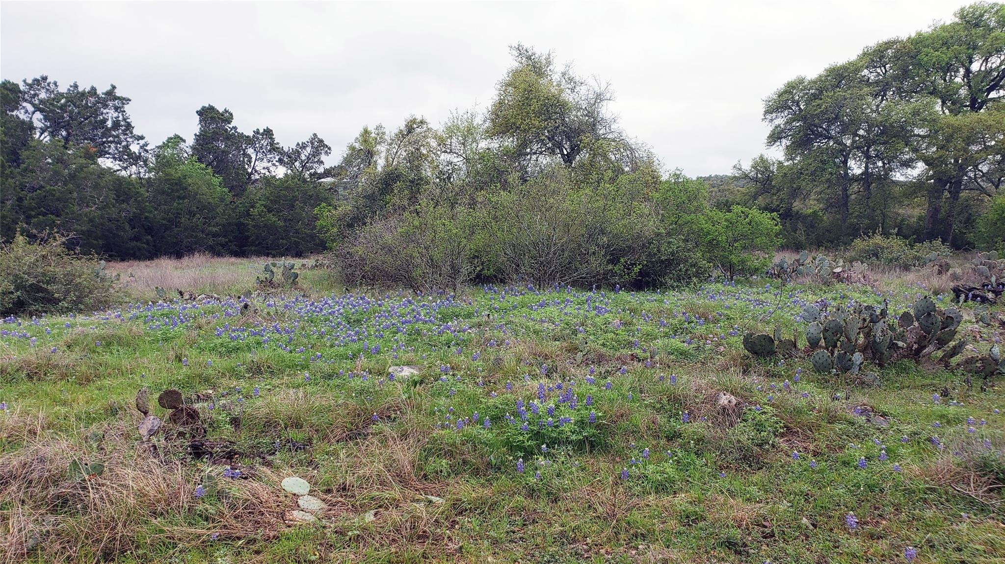 301 Rim Rock Ranch Rd Property Photo 5