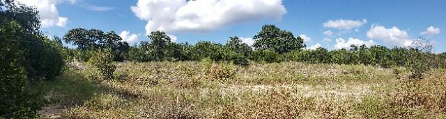 301 Rim Rock Ranch Rd Property Photo 12