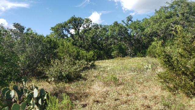 301 Rim Rock Ranch Rd Property Photo 13