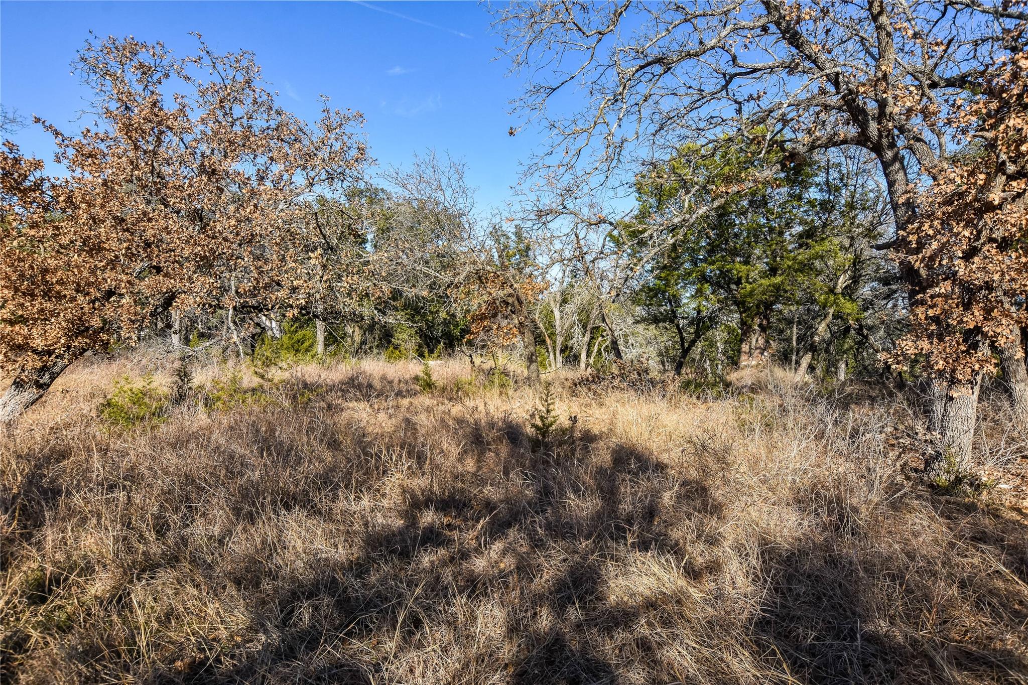 430 County Road 220 None Property Photo 6
