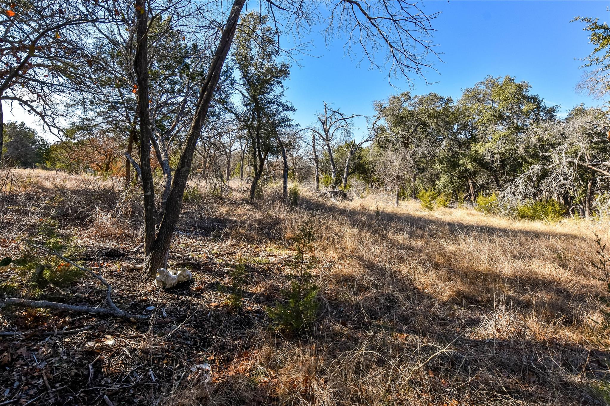 430 County Road 220 None Property Photo 8